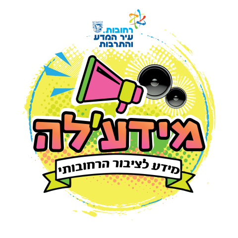 בדיקה אש. בינה