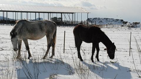 L0_0576_0291_DSC_7949.jpg