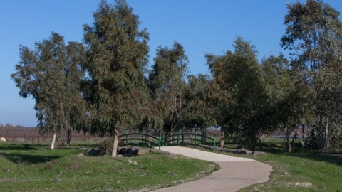 שביל הדו קיום קרדיט דרור ארצי.jpg