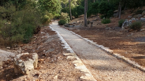 עבודות ברהט בן צבי (2).jpg